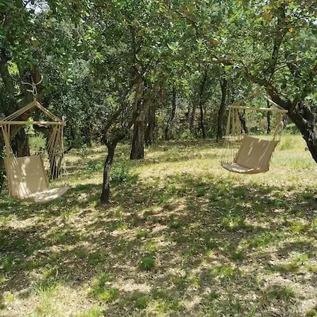 Dependance Dans Mas Traditionnel Avec Piscine *